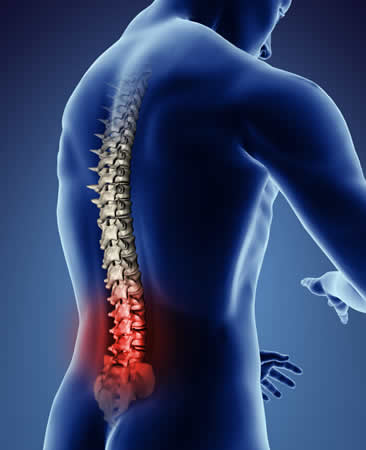 spine pain management 2